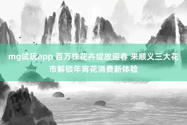 mg试玩app 百万株花卉绽放迎春 来顺义三大花市解锁年宵花消费新体验