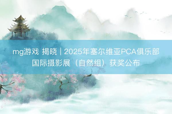 mg游戏 揭晓 | 2025年塞尔维亚PCA俱乐部国际摄影展（自然组）获奖公布